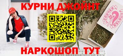 гашик Можга