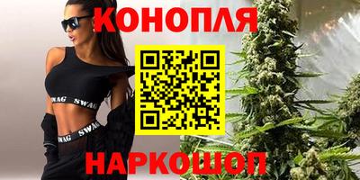 гашик Можга